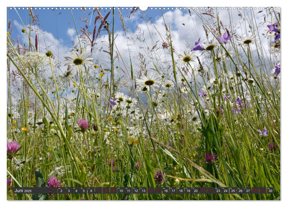 Naturjuwel Obere Donau (CALVENDO Wandkalender 2025)