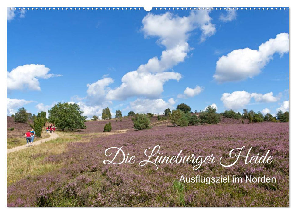 Die Lüneburger Heide - Ausflugsziel im Norden (CALVENDO Wandkalender 2025)