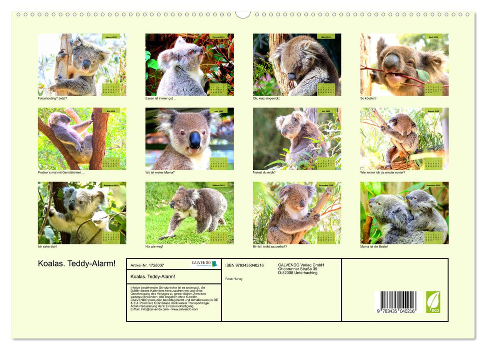 Koalas. Teddy-Alarm! (CALVENDO Premium Wandkalender 2025)