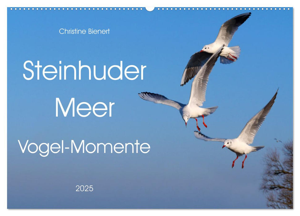 Steinhuder Meer, Vogel-Momente (CALVENDO Wandkalender 2025)