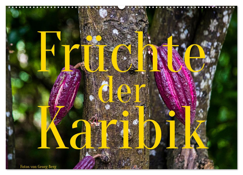 Früchte der Karibik (CALVENDO Wandkalender 2025)