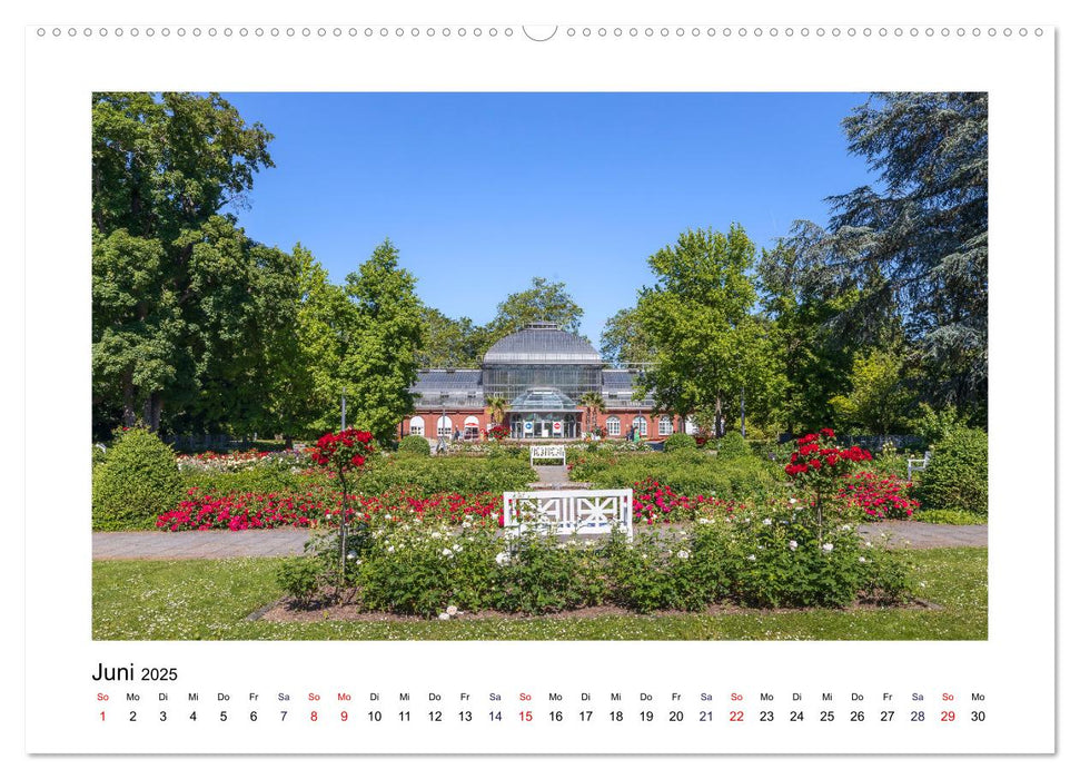 Frankfurt - Parks und Gärten (CALVENDO Premium Wandkalender 2025)