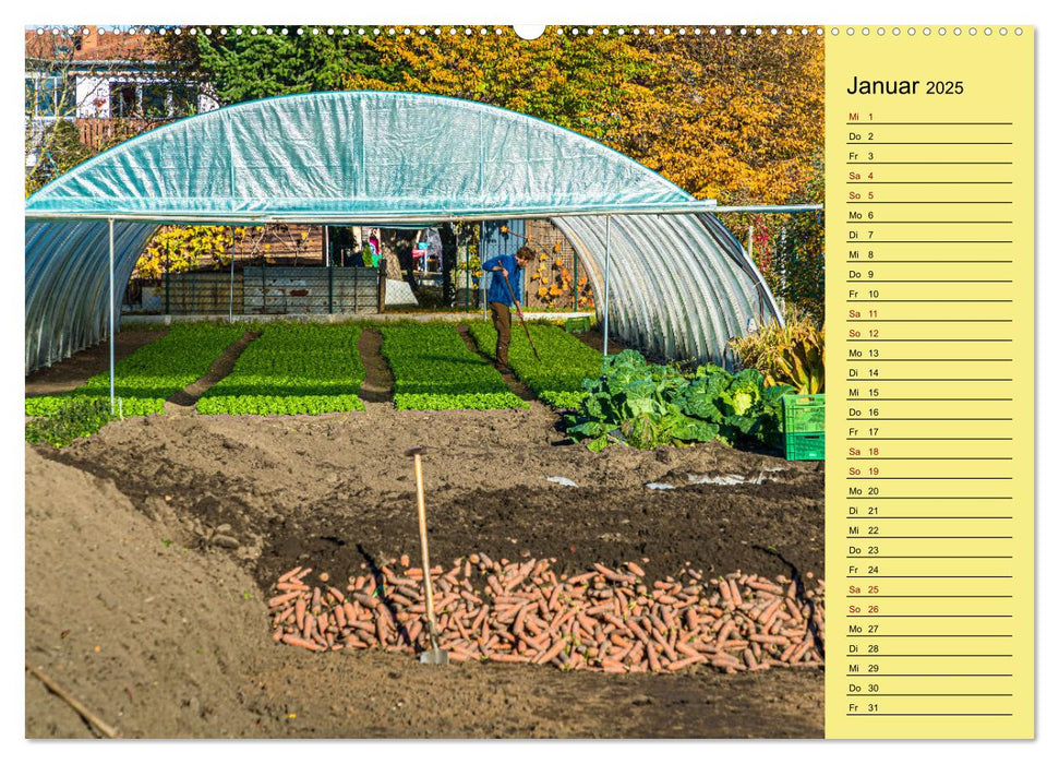 Welterbe Gärtnerstadt Bamberg (CALVENDO Wandkalender 2025)