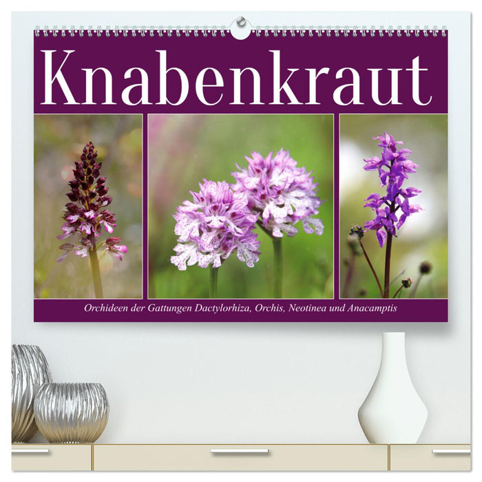 Knabenkraut (CALVENDO Premium Wandkalender 2025)