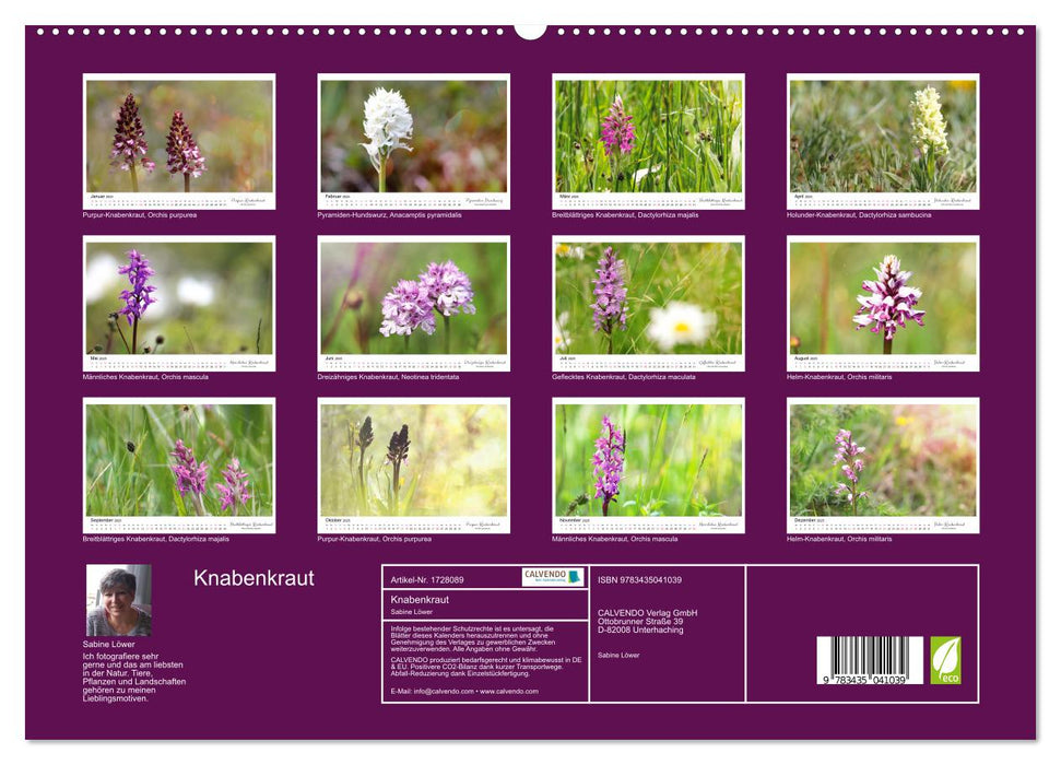 Knabenkraut (CALVENDO Premium Wandkalender 2025)