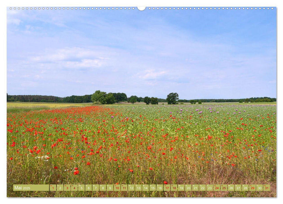 Neustadt am Rübenberge, Kleine Auszeiten im Neustädter Land (CALVENDO Premium Wandkalender 2025)