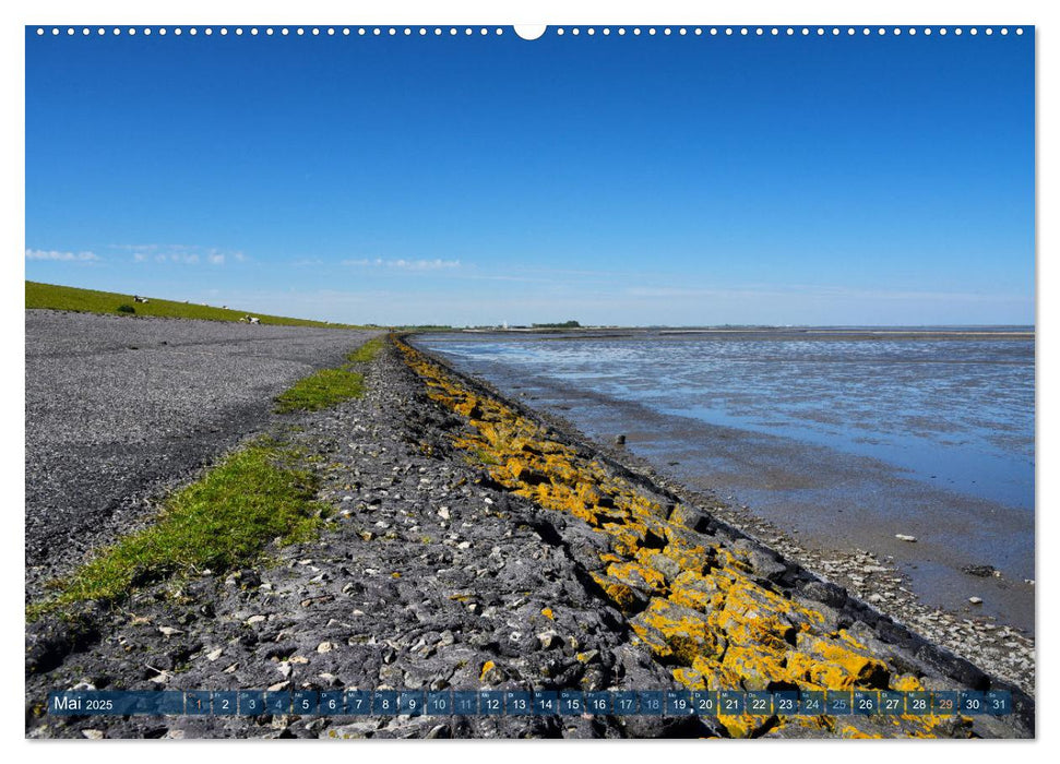 Erlebe mit mir Ostfriesland (CALVENDO Premium Wandkalender 2025)