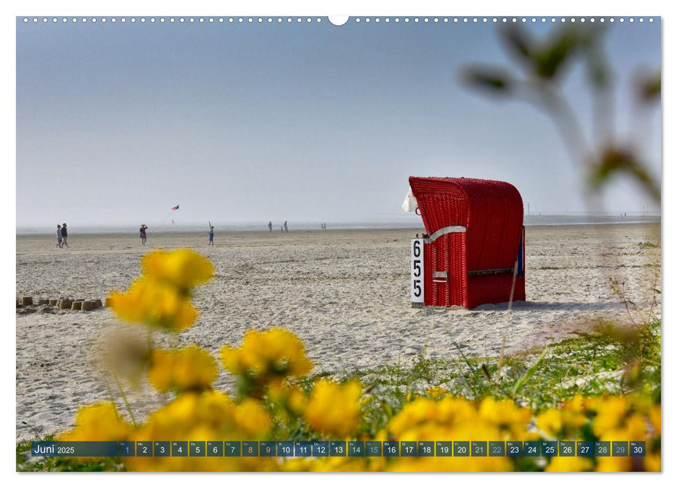 Erlebe mit mir Ostfriesland (CALVENDO Premium Wandkalender 2025)