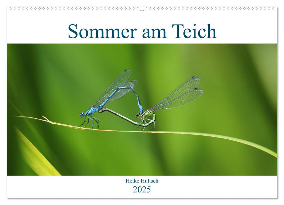 Sommer am Teich (CALVENDO Wandkalender 2025)