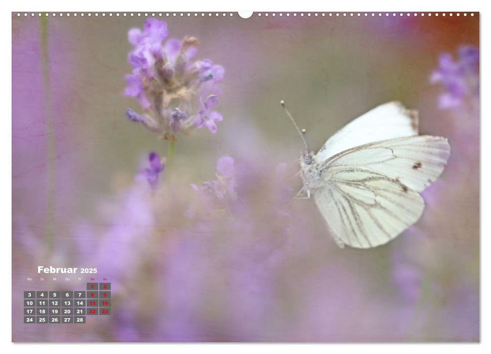 Sommer am Teich (CALVENDO Wandkalender 2025)