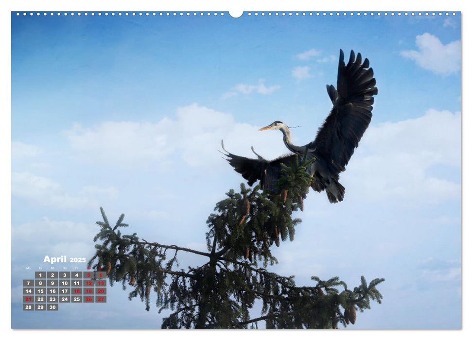 Sommer am Teich (CALVENDO Wandkalender 2025)