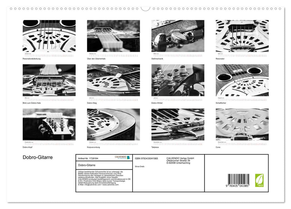 Dobro-Gitarre (CALVENDO Wandkalender 2025)