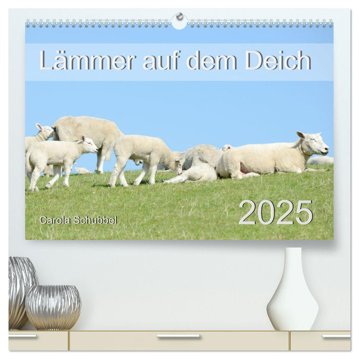 Lämmer auf dem Deich (CALVENDO Premium Wandkalender 2025)