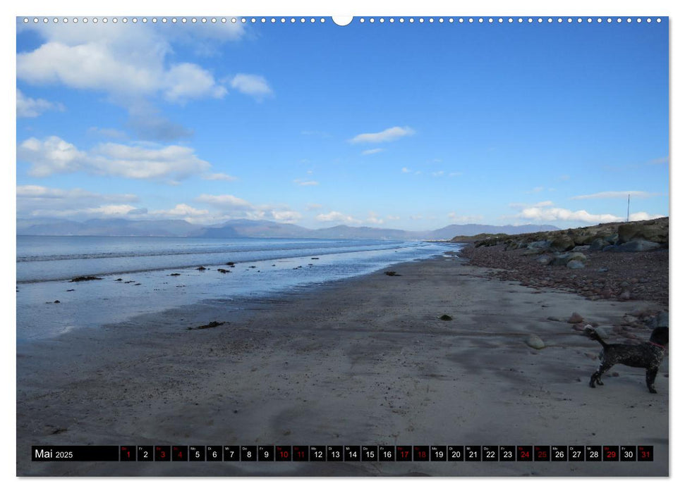 Ring of Kerry - Teil des Wild Atlantic Way im Südwesten Irlands (CALVENDO Premium Wandkalender 2025)