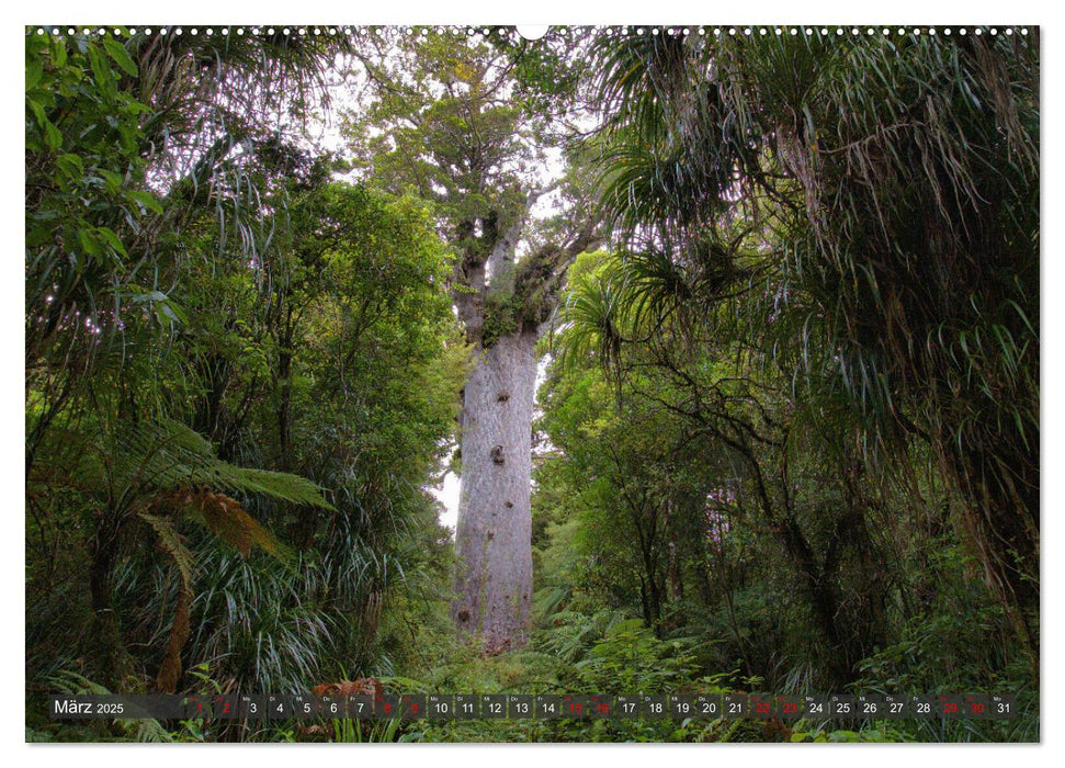 Neuseeland - Von der Nordinsel zur Südinsel (CALVENDO Premium Wandkalender 2025)