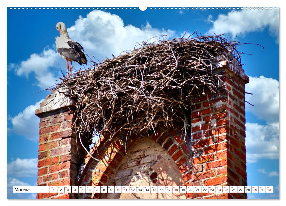 Die Kirche von Mühlhausen - Ein architektonisches Kleinod in Ostpreußen (CALVENDO Wandkalender 2025)