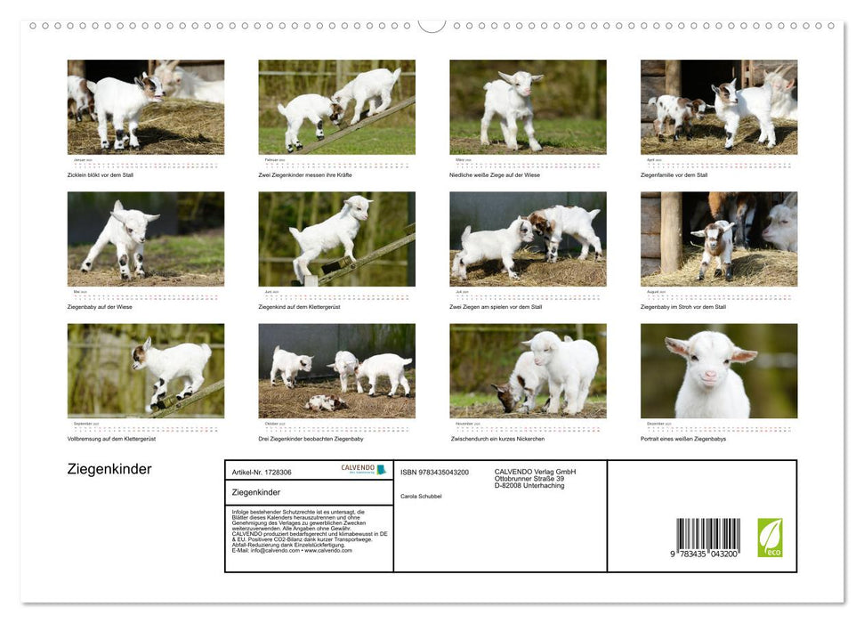 Ziegenkinder (CALVENDO Premium Wandkalender 2025)