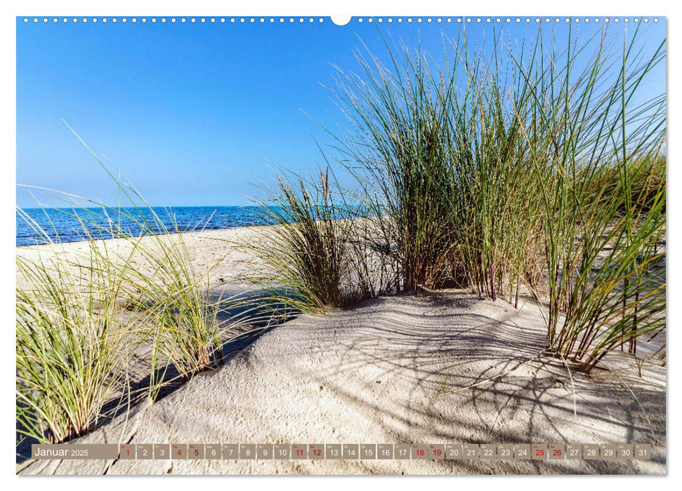 Inselliebe Langeoog (CALVENDO Premium Wandkalender 2025)