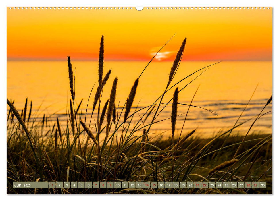 Inselliebe Langeoog (CALVENDO Premium Wandkalender 2025)