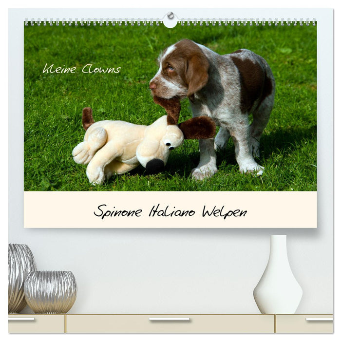 Spinone Italiano Welpen - Kleine Clowns (CALVENDO Premium Wandkalender 2025)