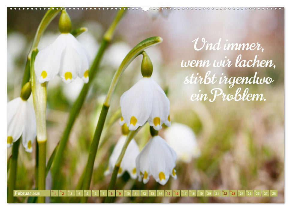 Lächeln macht glücklich (CALVENDO Premium Wandkalender 2025)