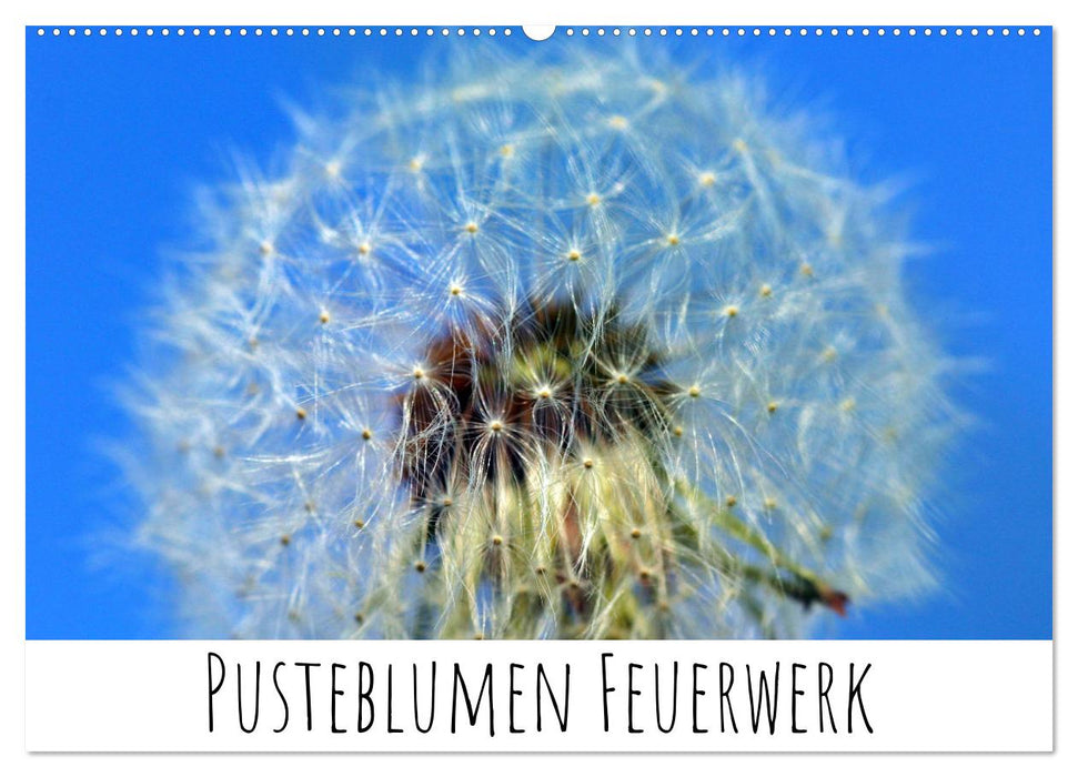 Pusteblumen Feuerwerk (CALVENDO Wandkalender 2025)