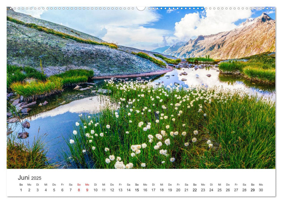 Schweiz - die Bergidylle (CALVENDO Premium Wandkalender 2025)