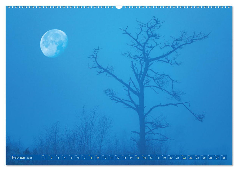 Vollmond: Wundersames Licht des Mondes (CALVENDO Premium Wandkalender 2025)