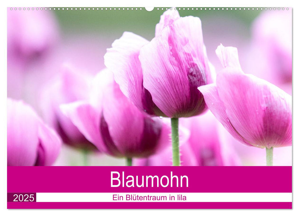 Blaumohn - Ein Blütentraum in lila (CALVENDO Wandkalender 2025)