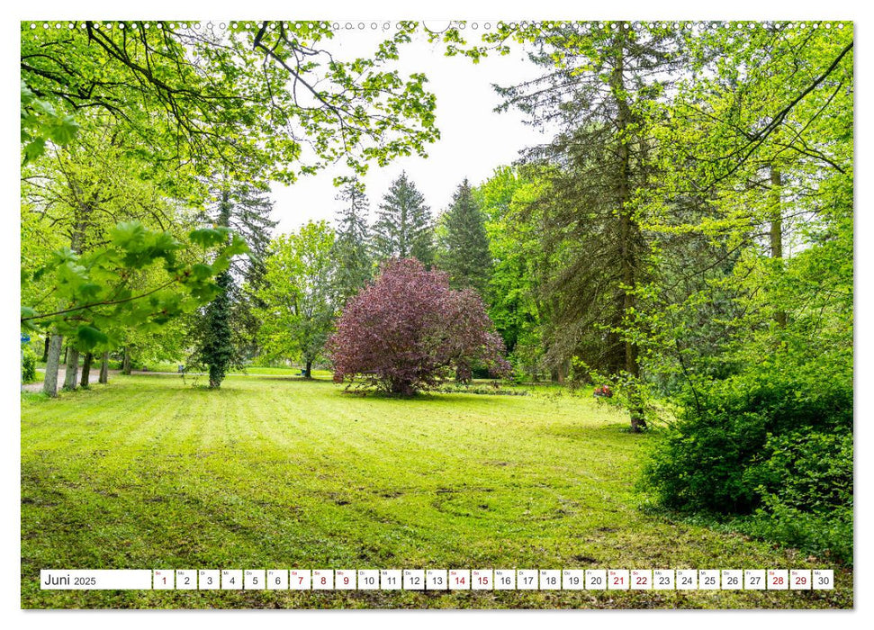 Hansestadt Anklam. Das Tor zur Insel Usedom (CALVENDO Premium Wandkalender 2025)