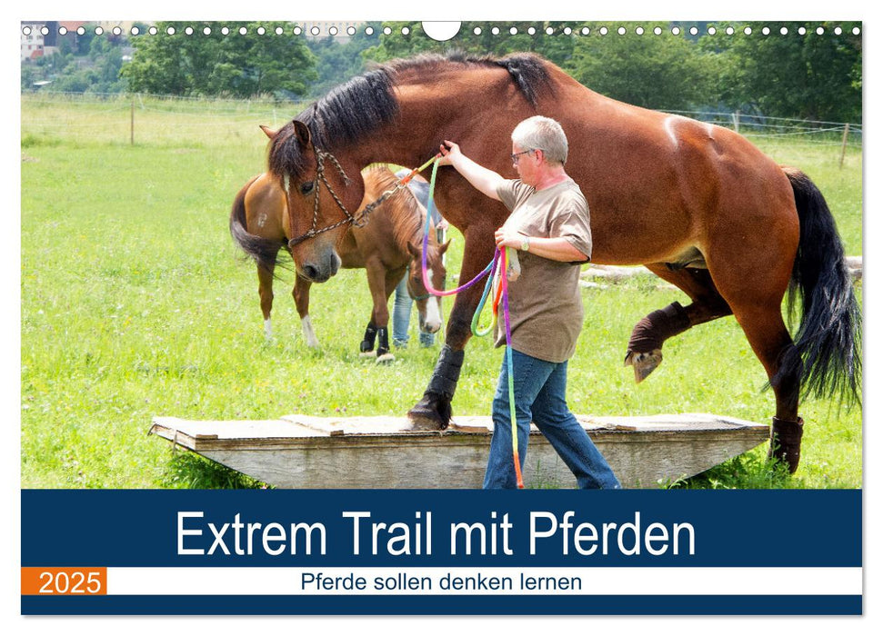 Extrem Trail mit Pferden (CALVENDO Wandkalender 2025)