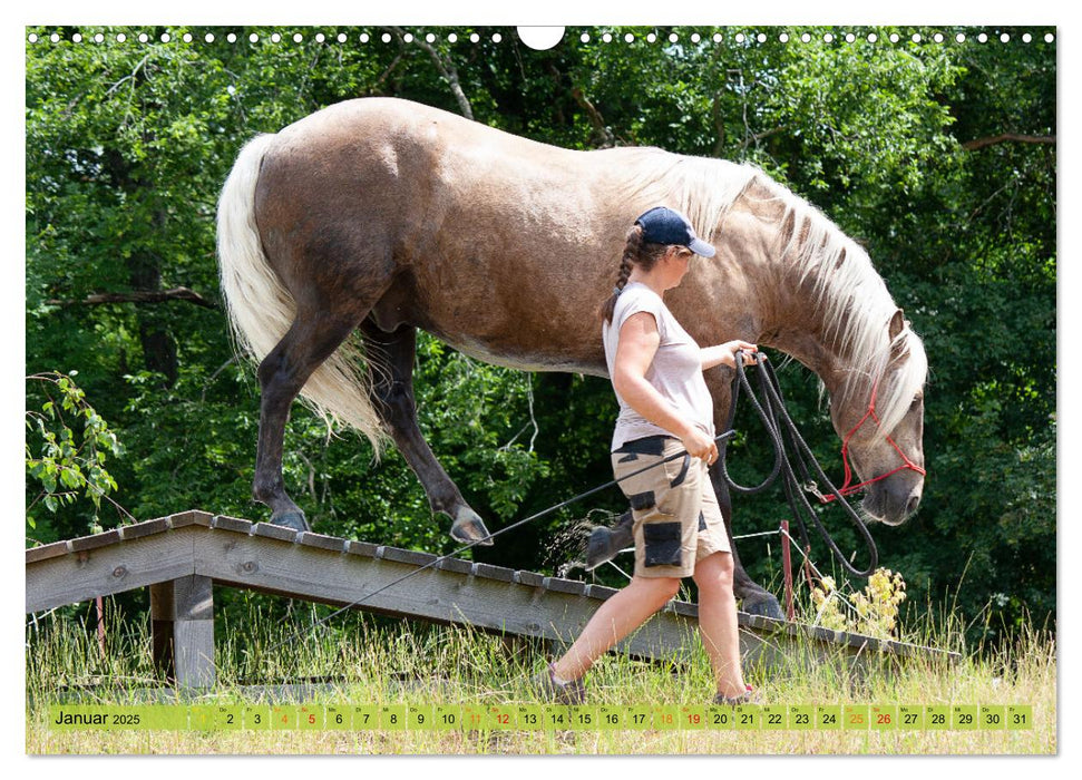 Extrem Trail mit Pferden (CALVENDO Wandkalender 2025)