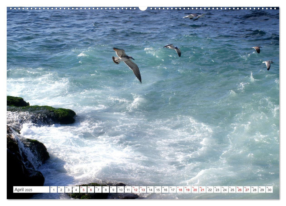 Meeres-Farben - Die Bucht von Havanna (CALVENDO Premium Wandkalender 2025)