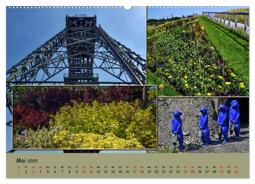 Landesgartenschau Kamp-Lintfort (CALVENDO Wandkalender 2025)