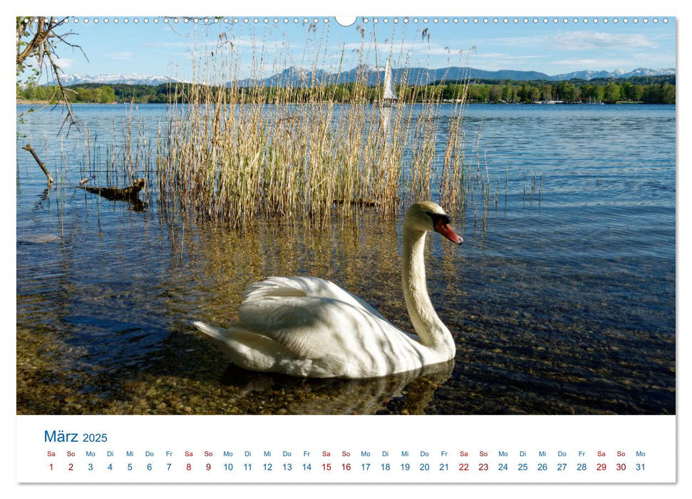 Rupertiwinkel - Seen und Moore (CALVENDO Premium Wandkalender 2025)