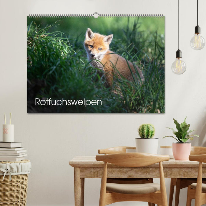 Rotfuchswelpen (CALVENDO Wandkalender 2025)