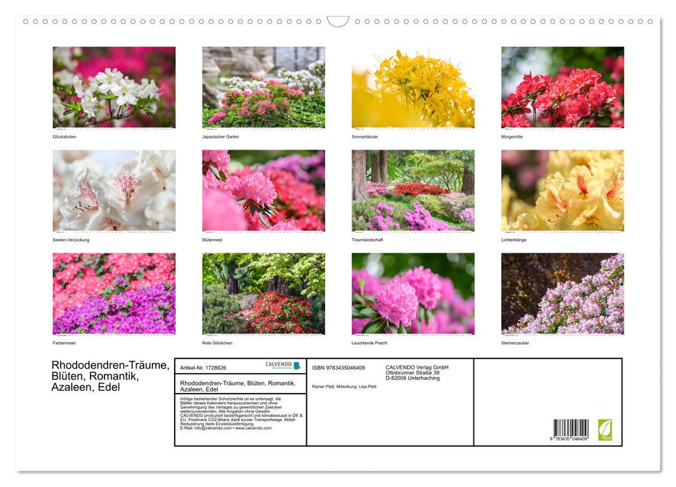 Rhododendren-Träume, Blüten, Romantik, Azaleen, Edel (CALVENDO Wandkalender 2025)