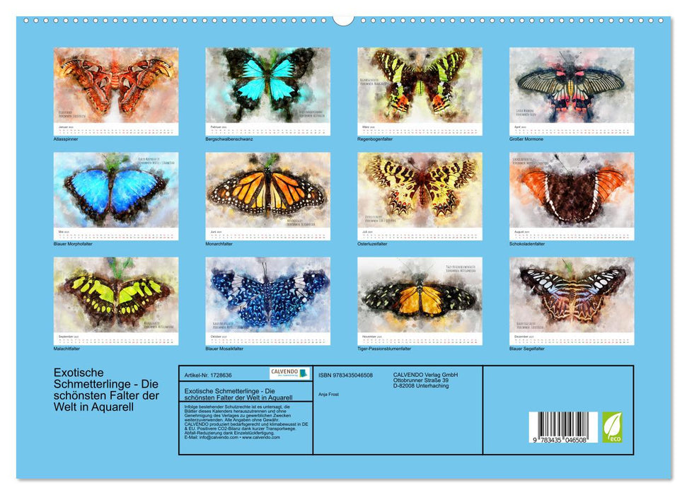 Exotische Schmetterlinge - Die schönsten Falter der Welt in Aquarell (CALVENDO Premium Wandkalender 2025)