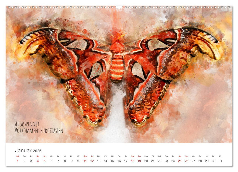 Exotische Schmetterlinge - Die schönsten Falter der Welt in Aquarell (CALVENDO Premium Wandkalender 2025)