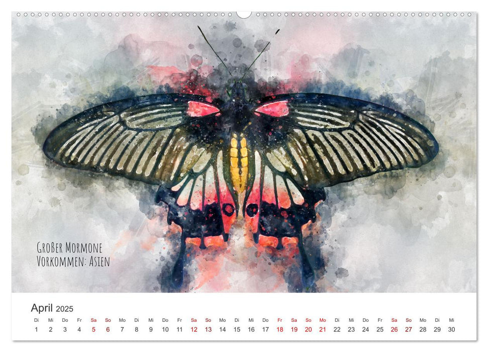 Exotische Schmetterlinge - Die schönsten Falter der Welt in Aquarell (CALVENDO Premium Wandkalender 2025)