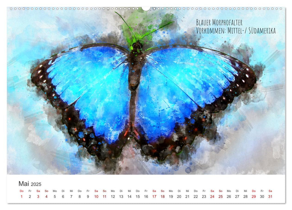 Exotische Schmetterlinge - Die schönsten Falter der Welt in Aquarell (CALVENDO Premium Wandkalender 2025)