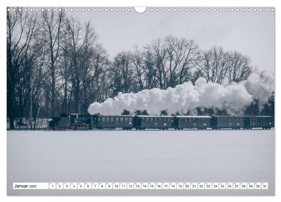 Die Mansfelder Bergwerksbahn (CALVENDO Wandkalender 2025)