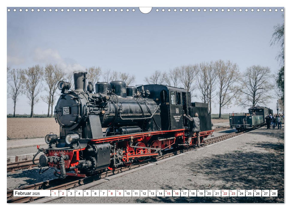 Die Mansfelder Bergwerksbahn (CALVENDO Wandkalender 2025)