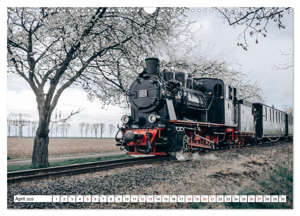 Die Mansfelder Bergwerksbahn (CALVENDO Wandkalender 2025)