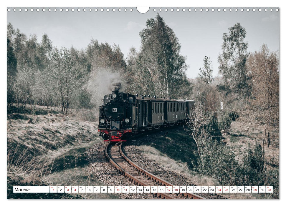 Die Mansfelder Bergwerksbahn (CALVENDO Wandkalender 2025)