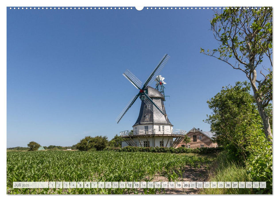 Föhr - Nordfriesische Insel Impressionen (CALVENDO Premium Wandkalender 2025)