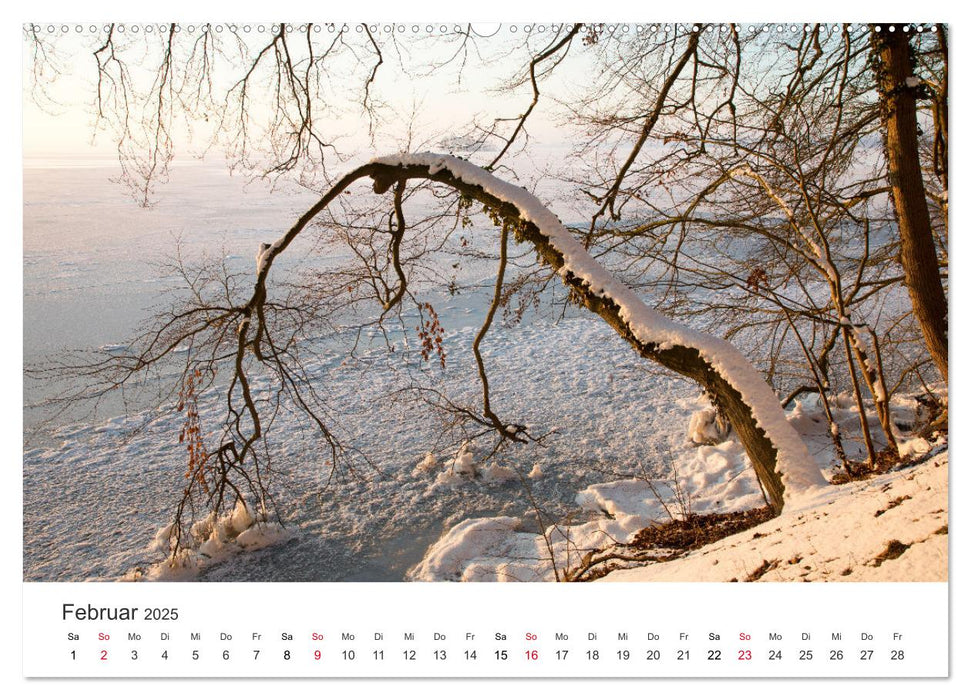 Faszination Natur - Bilder aus Mecklenburg-Vorpommern (CALVENDO Premium Wandkalender 2025)