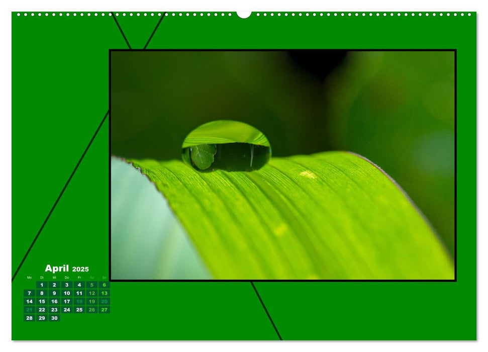 Heilende Farbe Grün (CALVENDO Premium Wandkalender 2025)
