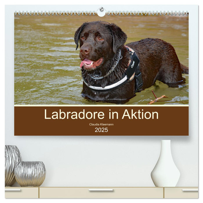 Labradore in Aktion (CALVENDO Premium Wandkalender 2025)