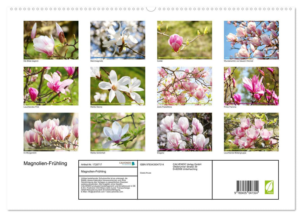 Magnolien-Frühling (CALVENDO Premium Wandkalender 2025)